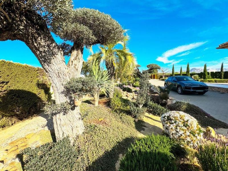 Foto b896882f-ba5d-48a3-a754-8878c68dd328. Chalet villa en venta en centro, 5 dormitorios. en Orihuela