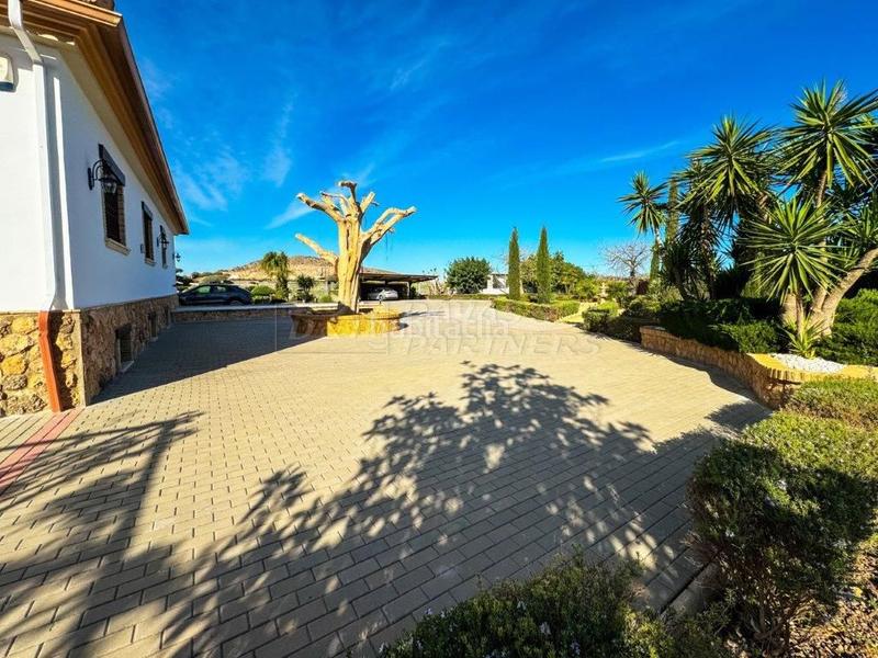 Foto c2caa9f9-575c-4e71-a5c1-ae704a4969e0. Chalet villa en venta en centro, 5 dormitorios. en Orihuela