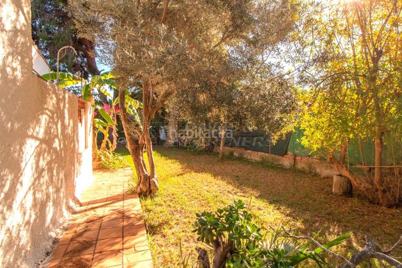 Foto da693e27-d5ac-4bd1-adb4-4a12d4c5c81e. Chalet dans Punta Prima Orihuela