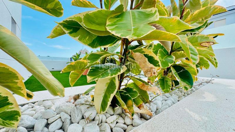 Foto 6ee24d0a-6666-48ae-aa78-2080aba77d44. Casa adossada amb calefacció aparcament a La Veleta Torrevieja