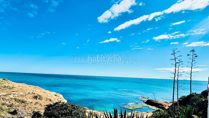 Foto 4ce9ac4a-02b4-4d0f-97b8-3d645219a5d8. Casa adossada a Zona los Frutales Torrevieja