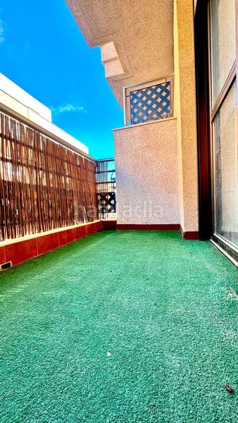 Foto 5009b0e8-afc1-4604-8c81-0559606d8d36. Pis a Orihuela ciudad Orihuela