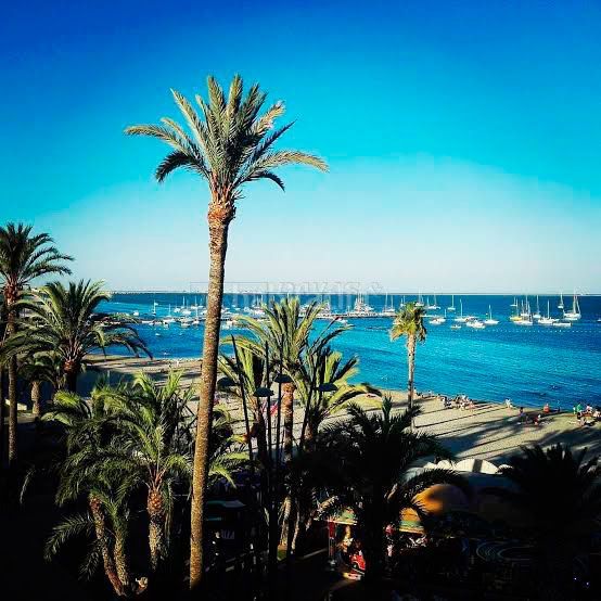 Foto 56db89f2-877a-4fe1-a831-65dcf11dd69a. Terreny residencial a Santiago de La Ribera San Javier