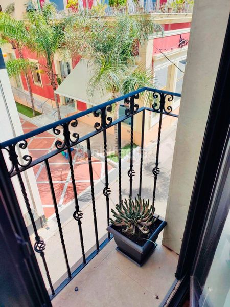 Foto df44b74d-615a-4502-9d1d-4d103bd43b89. Pis a Orihuela ciudad Orihuela