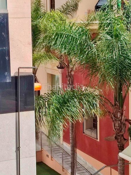 Foto f5a21a48-a13e-4120-94f2-bf754a4e8677. Pis a Orihuela ciudad Orihuela