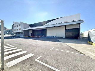 Nau industrial a Montepinar - La Aparecida - Raiguero. Nave industrial en venta en orihuela, 12 dormitorios.