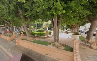Pis a Orihuela Ciudad