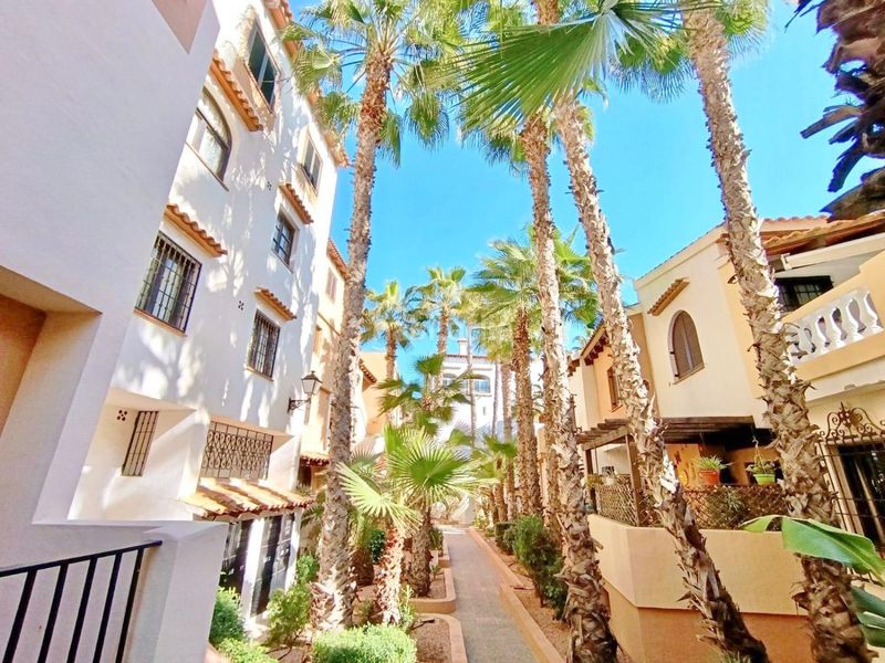 Foto 098cc655-cbd7-4ad6-bfb4-2fbb74a88441. Apartament amb piscina a Zona Playa de los Locos Torrevieja