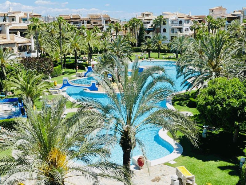 Foto cc505cee-f92d-43a4-ba2e-576042670abd. Apartament amb piscina a Zona Playa de los Locos Torrevieja
