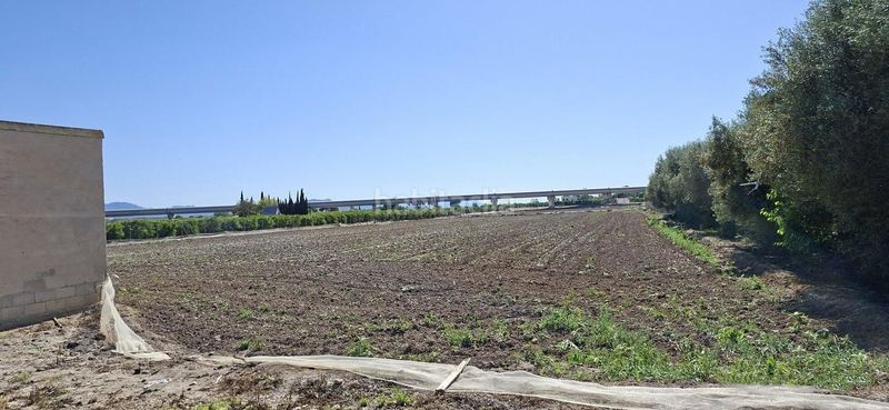 Foto 7414ff85-6ec6-49fe-8ce9-a754335dd55e. Terreny residencial a Desamparados - Hurchillo - Torremendo Orihuela
