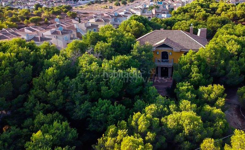 Foto 401a49b1-d59a-484c-b5d6-a78463188b48. Terreny residencial a Lo Marabú Rojales