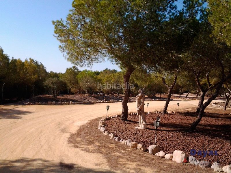 Foto 13aa7ca5-dbed-46f2-9875-73f20dc1f02c. Masia amb aparcament piscina a Lo Marabú Rojales