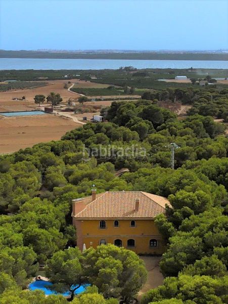 Foto d5078a6b-01ff-4130-b25c-861c78bff565. Edifici a Lo Marabú Rojales