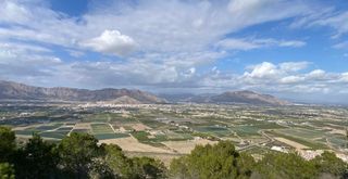 Residential Plot in Desamparados - Hurchillo - Torremendo. Parcela en venta en orihuela.