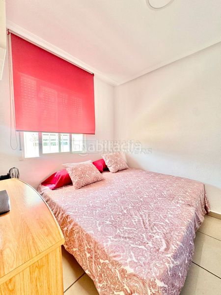 Foto bf327610-7cc1-492c-a334-7a852a849d79. Rent penthouse in bergantín 49 in Avenida Habaneras - Curva de Palangre Torrevieja