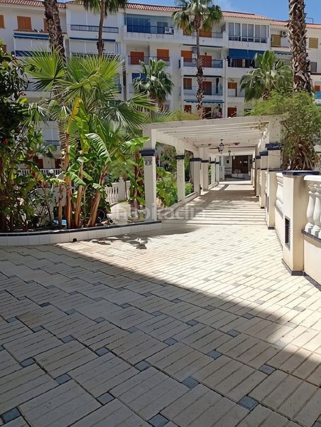 Foto f0ee2e29-e539-4b18-bb87-5c6d6f38dd53. Pis amb piscina a Los Europeos Torrevieja