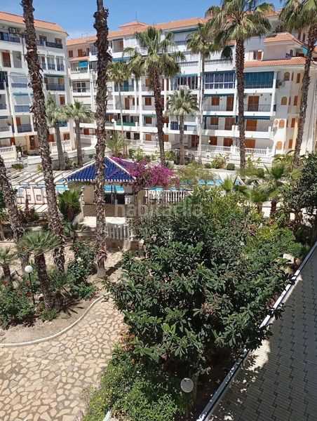 Foto f212c55c-93a2-48b6-b2c8-f0954fb893dd. Pis amb piscina a Los Europeos Torrevieja