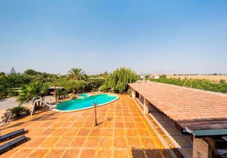 Bauernhof in Almoradí. Finca rúst. en venta en almoradi, 4 dormitorios.