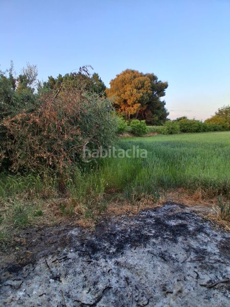 Foto 837b0c54-677b-4e0e-85ad-3526a78ed30a. Casa amb calefacció aparcament a La Bordeta Lleida