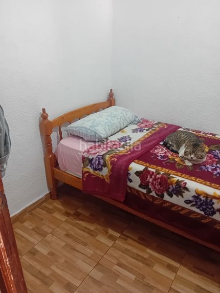 Foto c768eba5-1169-491d-a075-66204ca8ad03. Pis a Valls