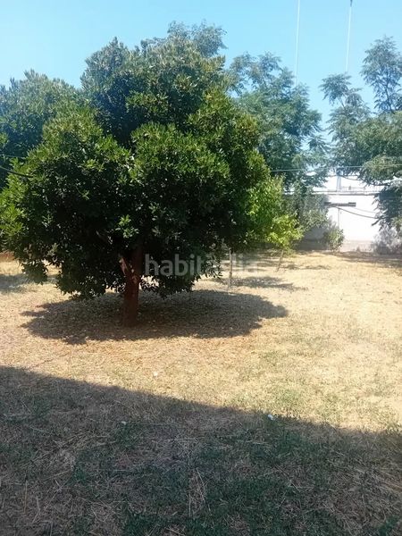 Foto c599bbbd-d5d5-497e-bc32-37711cd870c5. Nau industrial a Valls