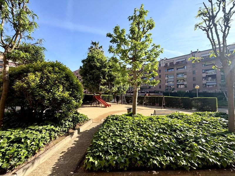 Foto bf0c18b4-7bf3-4db2-999e-3fa7e53a05ac. Planta baixa a Centre Sabadell