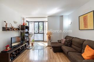 Flat in Arxiduc