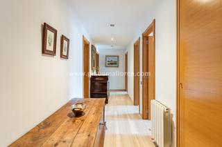 Rent Flat in La Llotja-Born