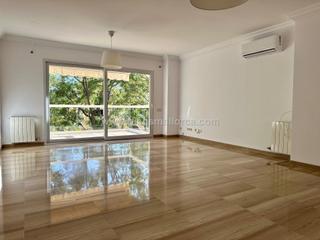 Location Appartement à Son Armadams