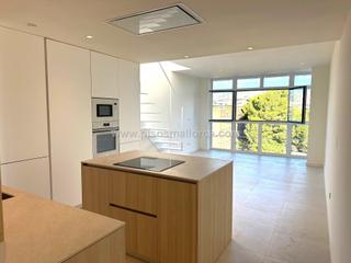 Rent Penthouse in Son Cotoner