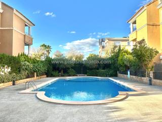 Attique à Son Flor-Son Moix