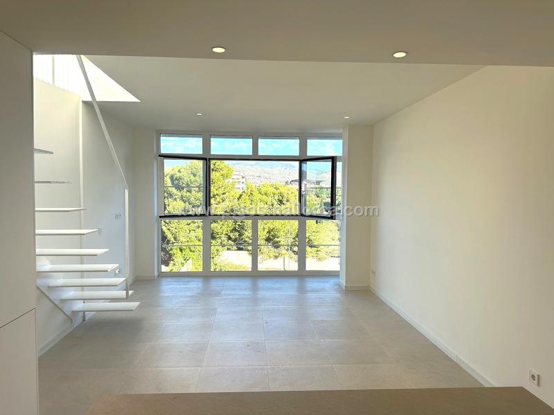 Foto 050aec36-4054-4f15-a3f3-1508aa40367d. Alquiler ático en La Llotja-Born Palma de Mallorca