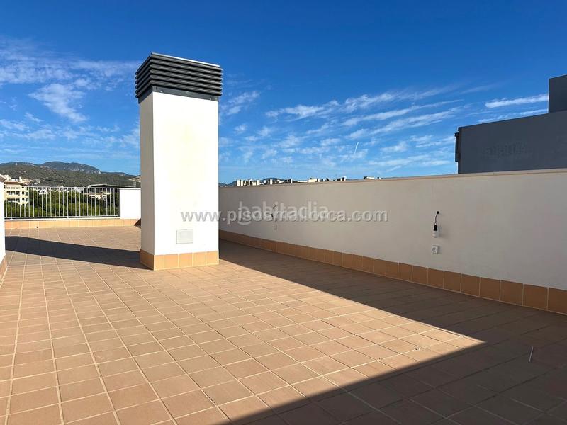 Foto 3833f557-1498-495e-81dd-37a3dff2dfe0. Alquiler ático en La Llotja-Born Palma de Mallorca