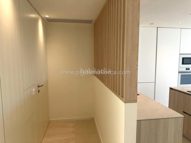 Foto 7f792191-056e-4cf4-abc7-77b532807397. Alquiler ático en La Llotja-Born Palma de Mallorca