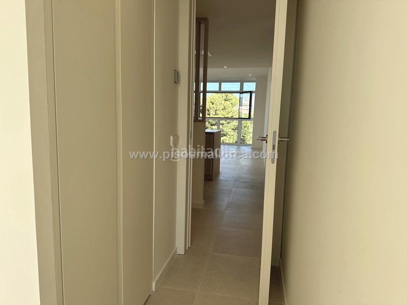 Foto 4943b113-682a-462f-896c-a44e341dcfd7. Location attique avec chauffage parking dans La Llotja-Born Palma de Mallorca