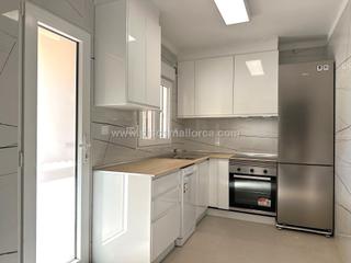 Rent Flat in Arxiduc