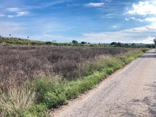 Fondo rustico in Almoradí. Parcela junto a carretera asfaltada