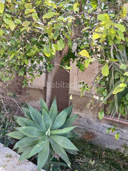 Foto 3b04c224-b51a-41eb-8805-d02af9b642dc. Casa a Rojales