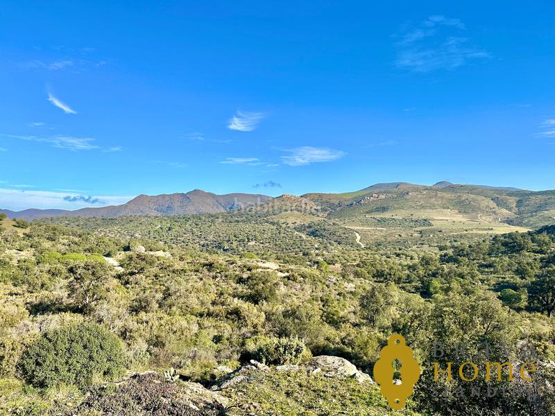 Foto e1835cb8-8fb3-4763-8a25-bfc5e292e7a1. Apartamento appartement avec vue mer et montagne en vente à rosas en Roses