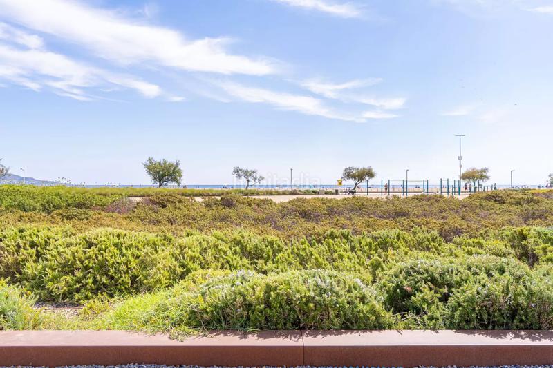 Foto 74d6124b-8be6-4e6f-80af-5379b9493b1a. Flat in carrer salins 1 línea 2 in Salins - Cavall de Mar Empuriabrava