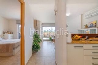 Foto 8bf25ace-86e3-47e1-bcff-0565dd5897de. Piso  luminoso con jardín privado, piscina y espectacular terraza . en Palau-saverdera