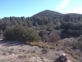 Masia a Font de la Figuera (la). Finca rustica en font de la figuera