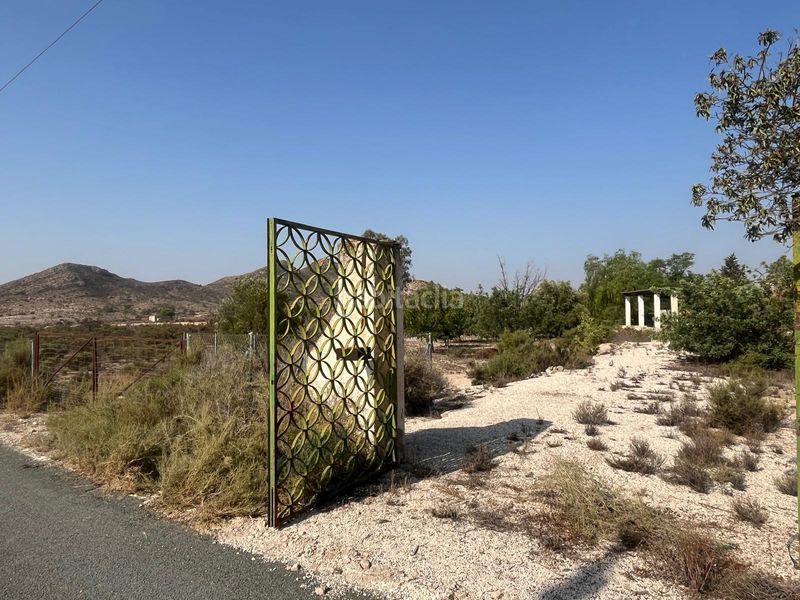 Foto f9b7594a-4bb2-4da7-8014-6d8a35e20c76. Masia a Moralet Alicante