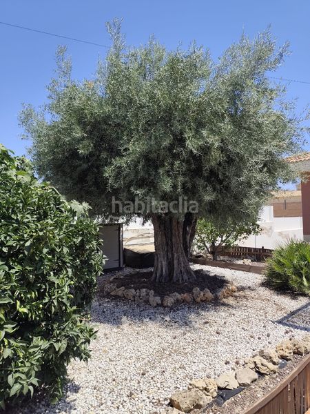 Foto ecc24555-8422-4509-954b-b1f7fd4fce56. Chalet avec chauffage parking piscine dans Centro Mutxamel