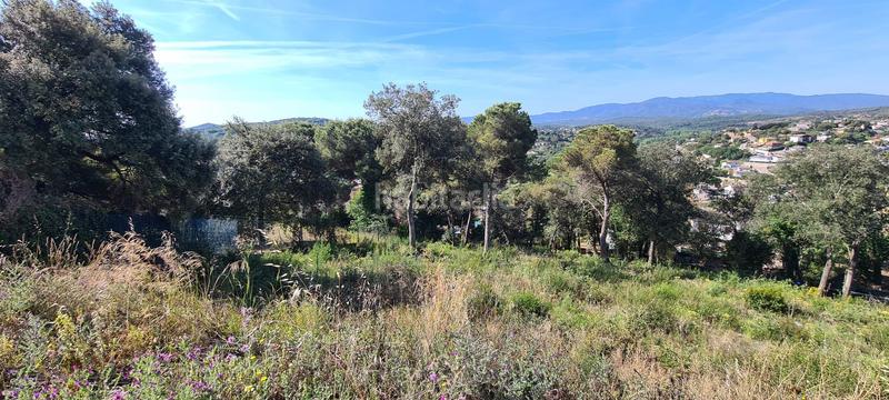 Foto 97c93189-fc60-46cb-a51c-dd9915dd107c. Terreno residencial terrenos con vistas espectaculares en Maçanet de la Selva