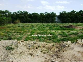 Terreny residencial  Avinguda pau casals