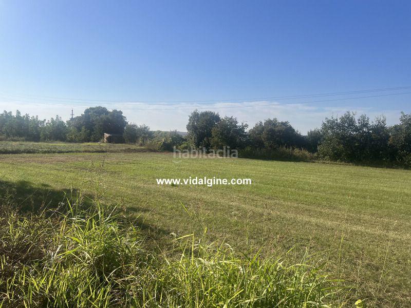 Foto fcd4bd83-8173-4a9d-9f92-8c6fc8bac5a6. Finca rústica  a . en Térmens