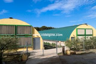 Nau industrial  Cami de lleida. Granja a la sentiu de sió