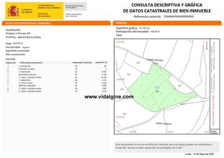 Finca rústica  Camí la vinya dels frares. Finca rústica al secà de balaguer.