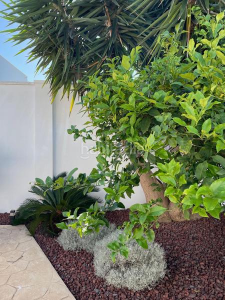 Foto 30c68b60-ca13-4bcd-a5e5-de37ffd9d25f. Maison avec chauffage dans Eucaliptus - Poble Nou del Delta Amposta